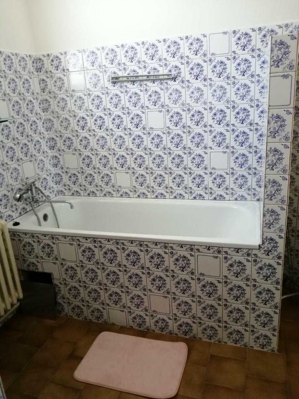 Apartman Hugo Ческе-Будеёвице Экстерьер фото